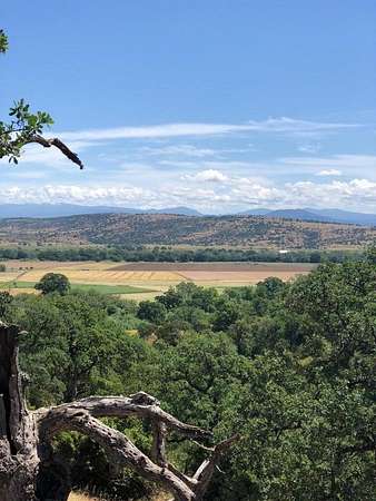 0.41 Acres of Land for Sale in Cottonwood, California