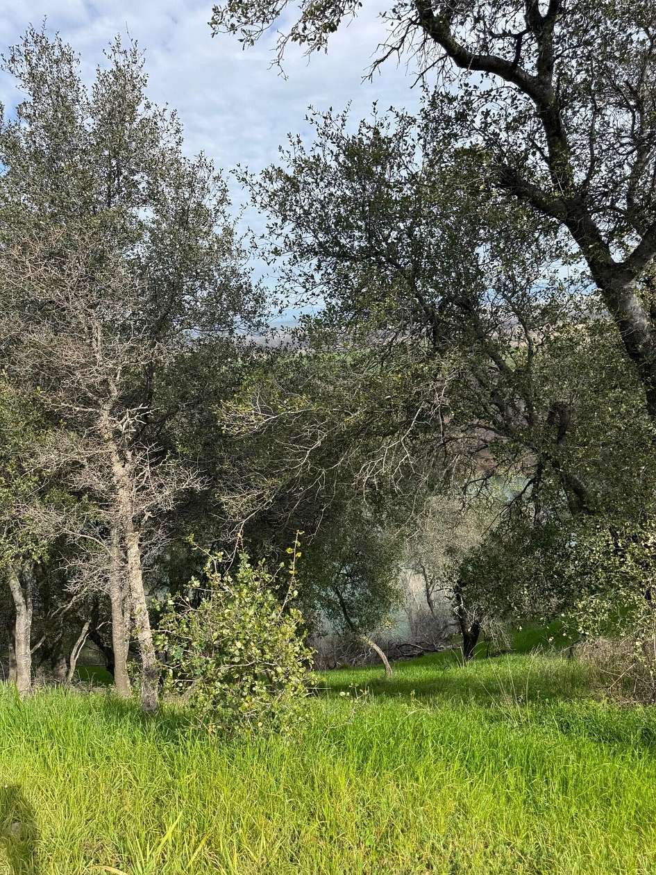 0.45 Acres of Land for Sale in Cottonwood, California