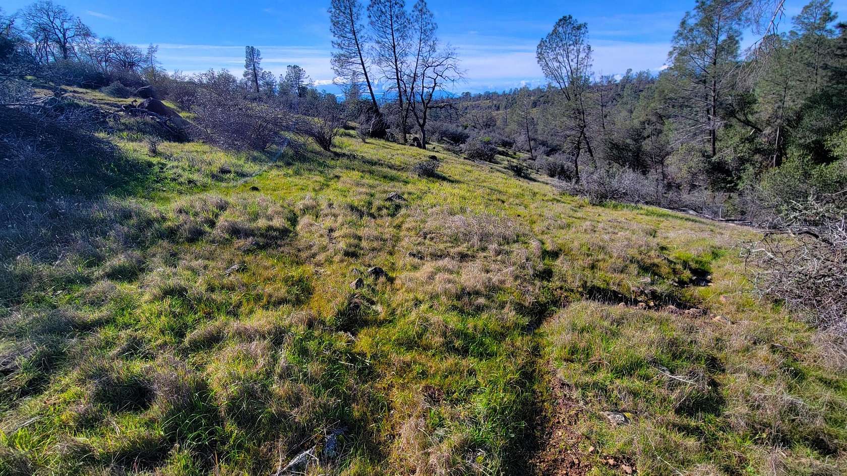 40.8 Acres of Land for Sale in Shingletown, California