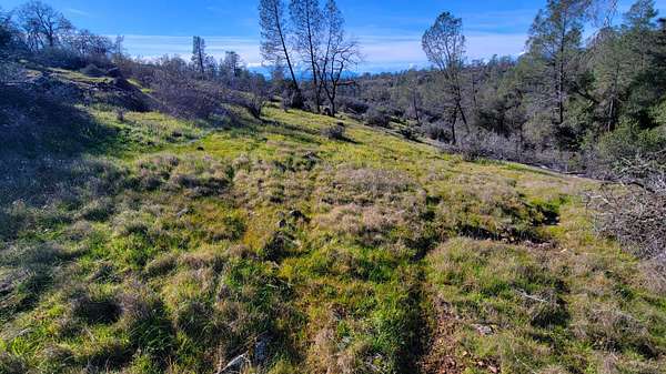 40.8 Acres of Land for Sale in Shingletown, California