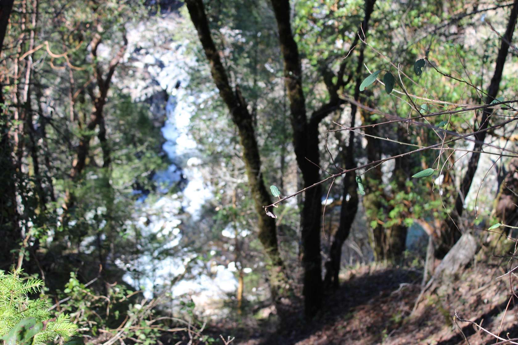 157 Acres of Land for Sale in Round Mountain, California