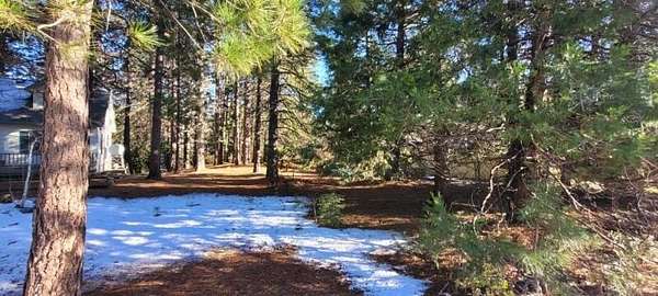 0.35 Acres of Residential Land for Sale in Mount Shasta, California