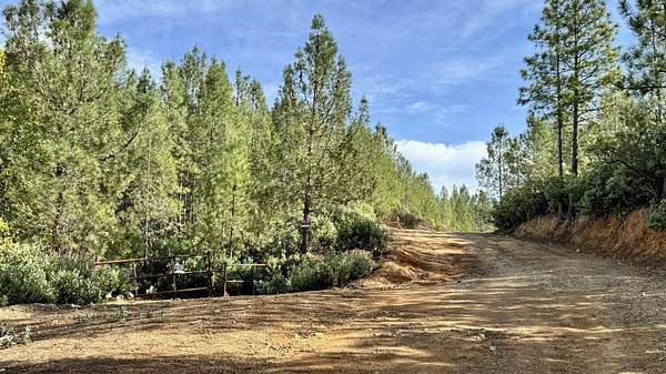 20 Acres of Recreational & Residential Land for Sale in Redding, California
