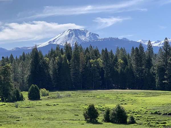 42 Acres of Recreational Land with Home for Sale in Shingletown, California