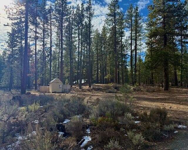 1.23 Acres of Land for Sale in Old Station, California