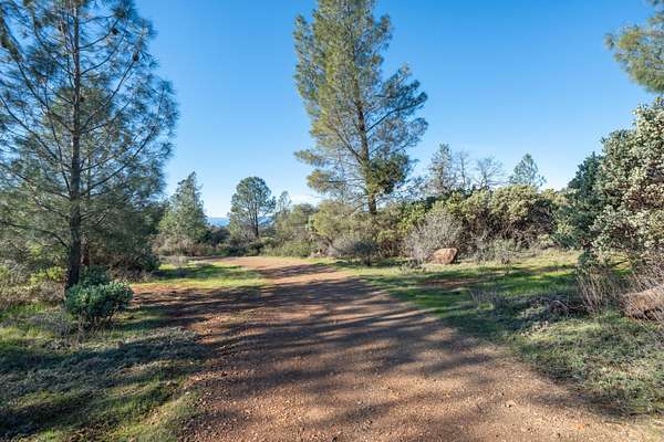 19.8 Acres of Land for Sale in Oak Run, California