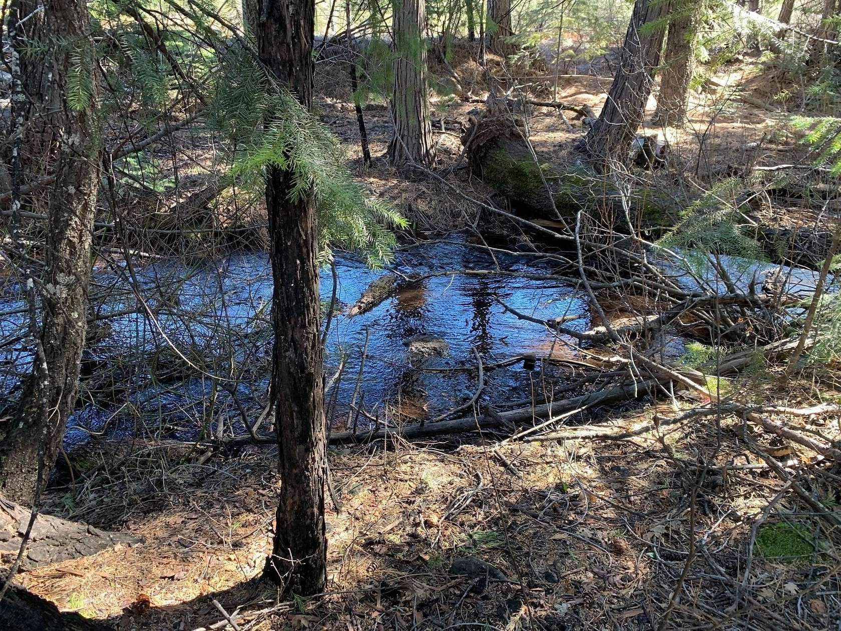 2.18 Acres of Residential Land for Sale in Shingletown, California