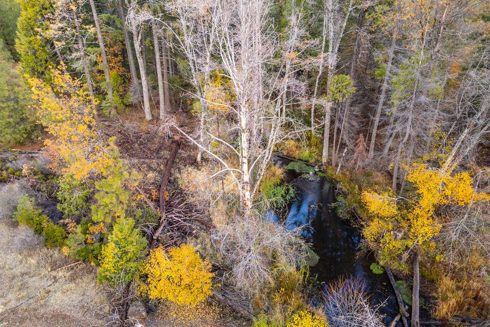 3.37 Acres of Land for Sale in Shingletown, California