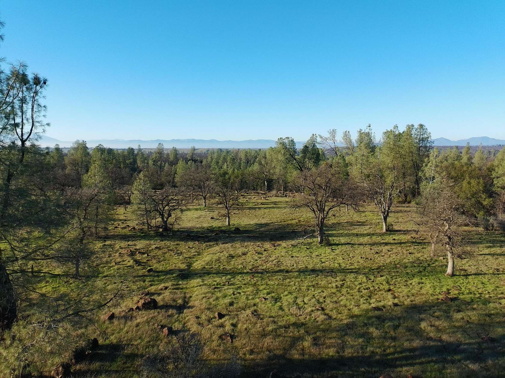 44.5 Acres of Land for Sale in Anderson, California