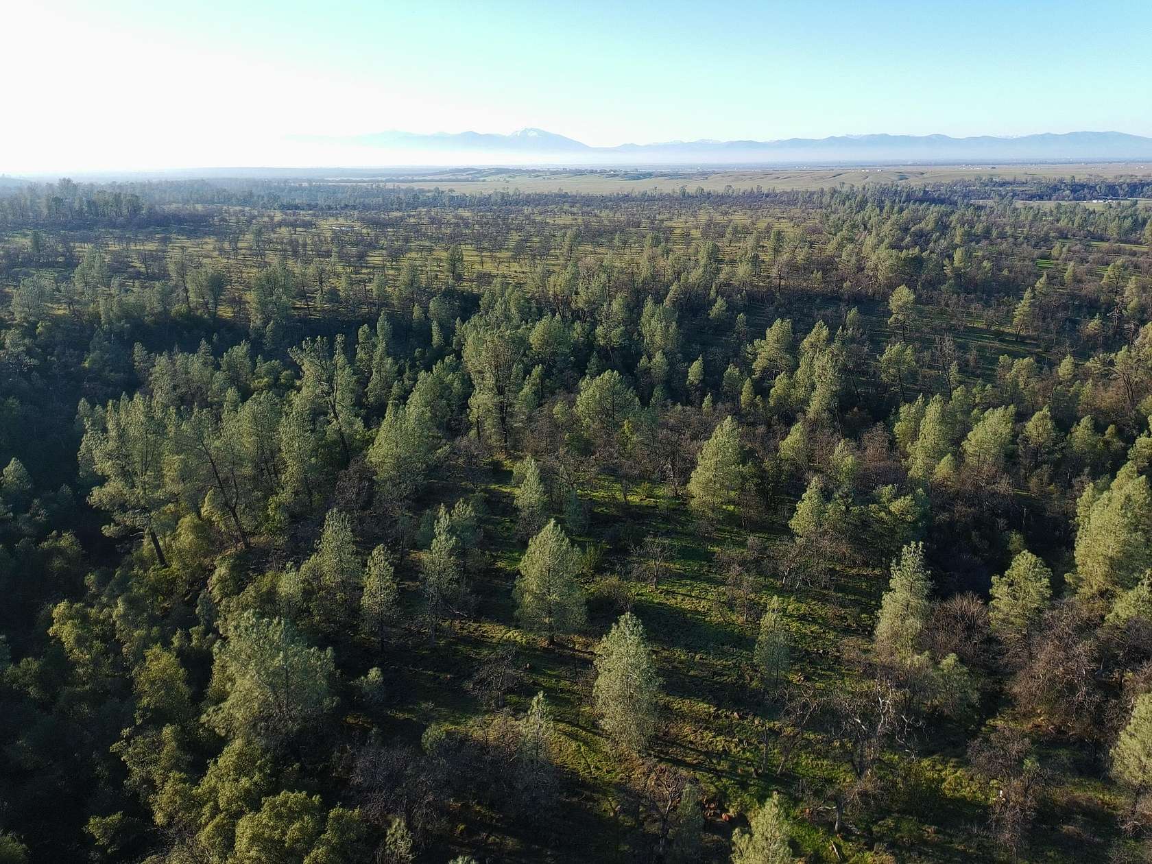 44.5 Acres of Land for Sale in Anderson, California
