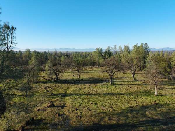 44.5 Acres of Land for Sale in Anderson, California