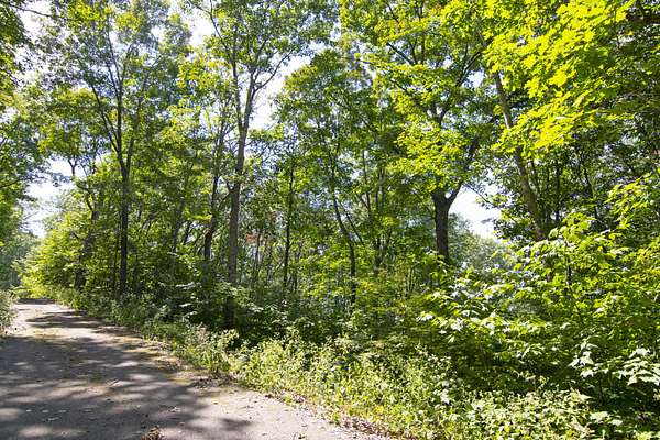 6.72 Acres of Residential Land for Sale in Caldwell, West Virginia