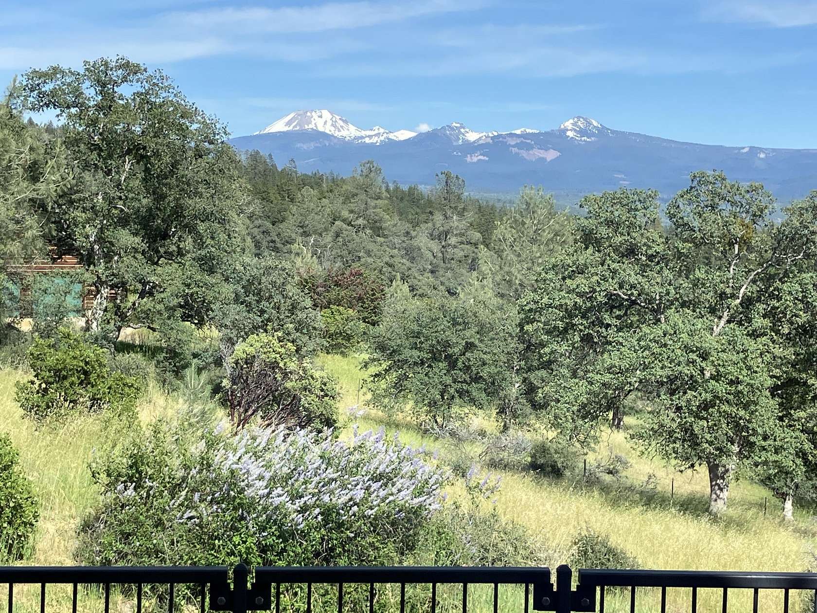 20 Acres of Recreational Land with Home for Sale in Shingletown, California
