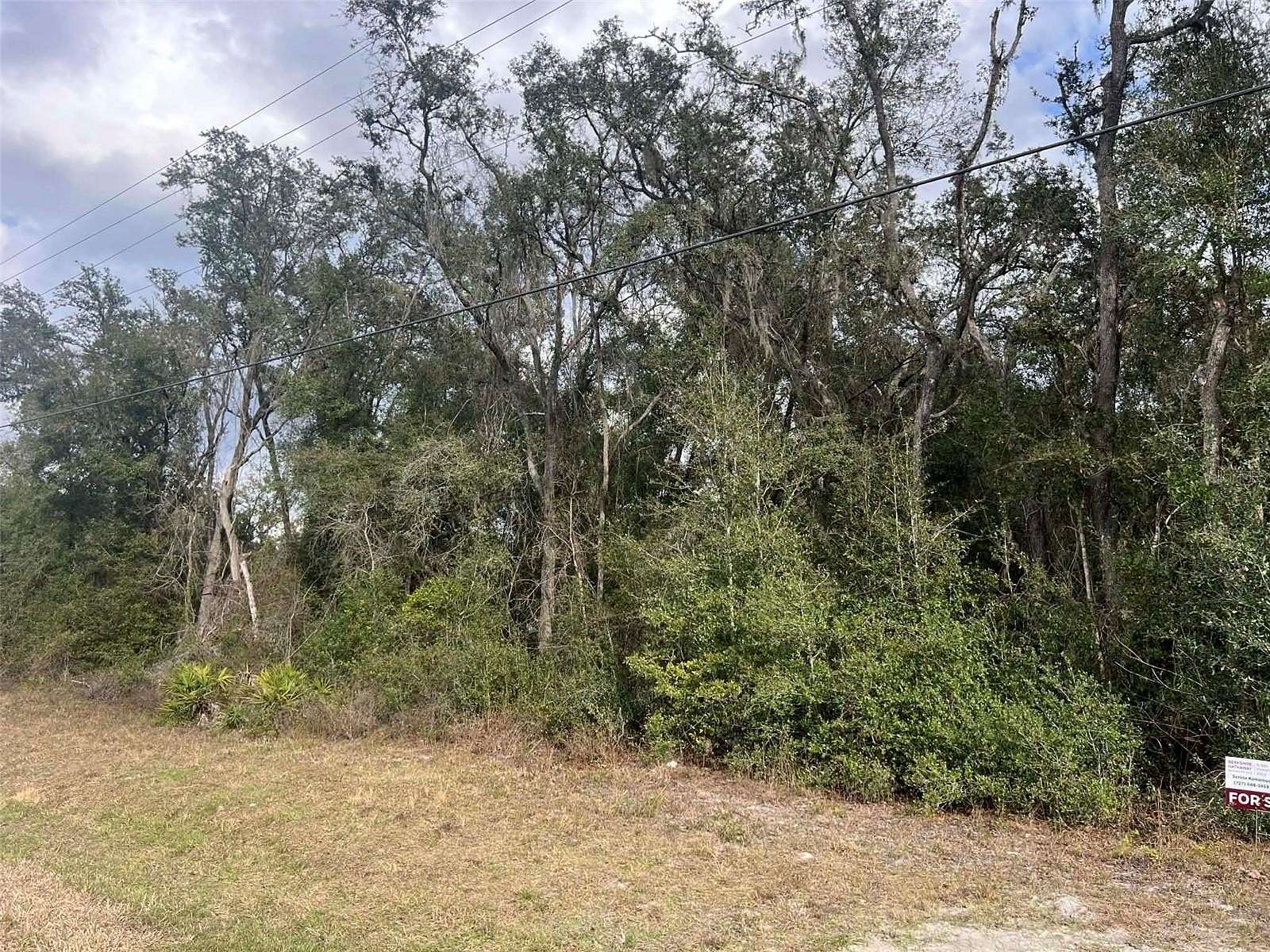 0.35 Acres of Residential Land for Sale in Webster, Florida