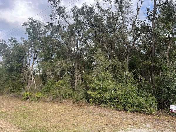 0.35 Acres of Residential Land for Sale in Webster, Florida