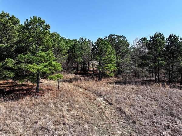 25.3 Acres of Land for Sale in Eustace, Texas