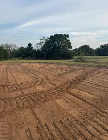 5 Acres of Residential Land for Sale in Big Sandy, Texas