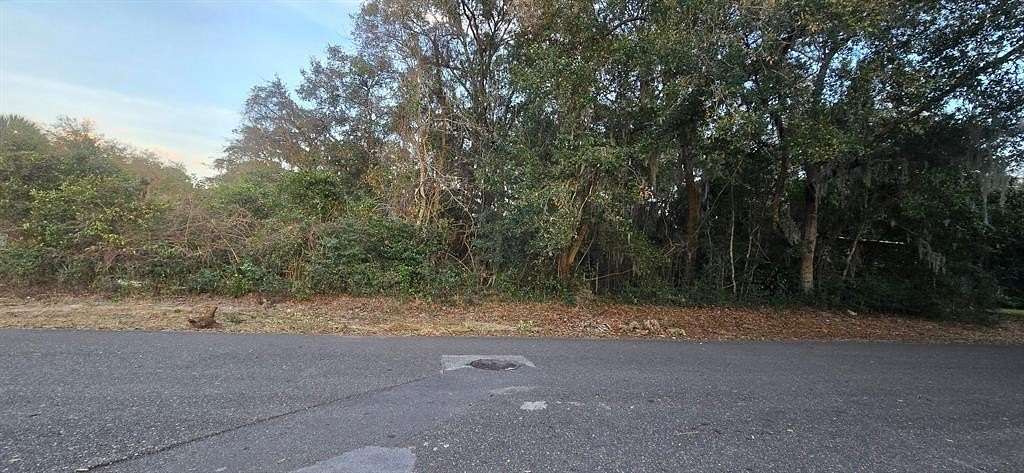 0.2 Acres of Residential Land for Sale in Fernandina Beach, Florida