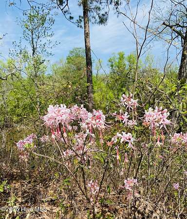 0.45 Acres of Land for Sale in Leland, North Carolina