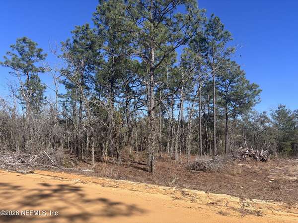 0.24 Acres of Land for Sale in Interlachen, Florida