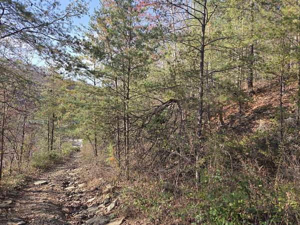 10 Acres of Land for Sale in Frenchburg, Kentucky