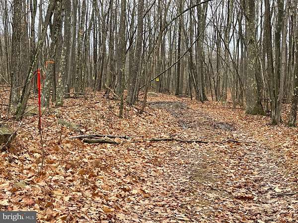13 Acres of Recreational & Residential Land for Sale in Elk Garden, West Virginia