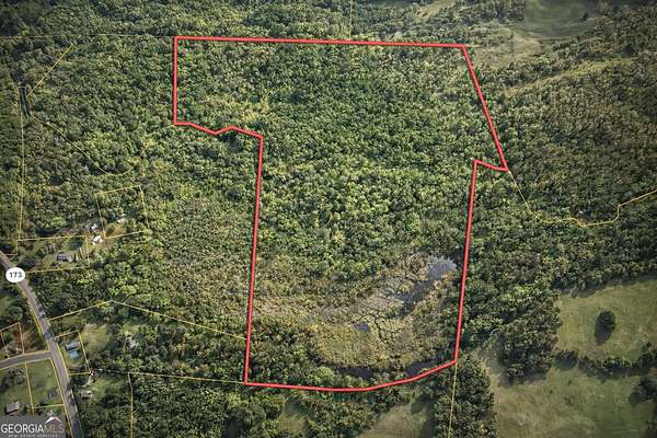 84.3 Acres of Recreational & Residential Land for Sale in Woodbury, Georgia