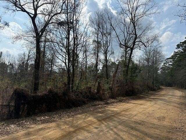 Residential Land for Sale in Call, Texas