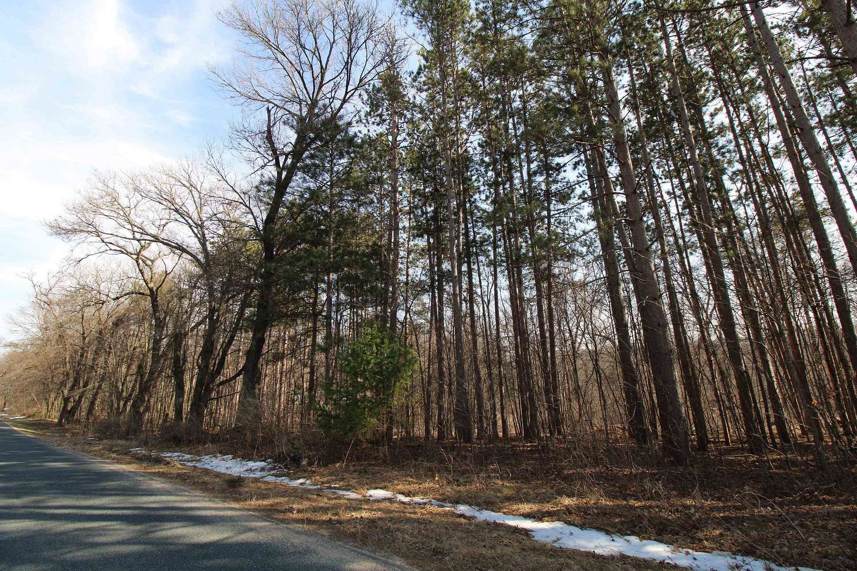 1.6 Acres of Residential Land for Sale in Lyndon Station, Wisconsin