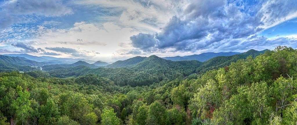 17 Acres of Land for Sale in Robbinsville, North Carolina