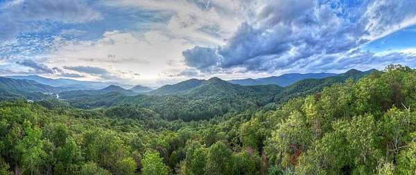 17 Acres of Land for Sale in Robbinsville, North Carolina