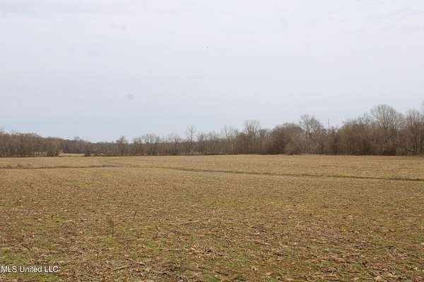 95.8 Acres of Land for Sale in Lake Cormorant, Mississippi
