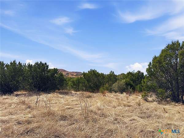 10 Acres of Land for Sale in Evant, Texas