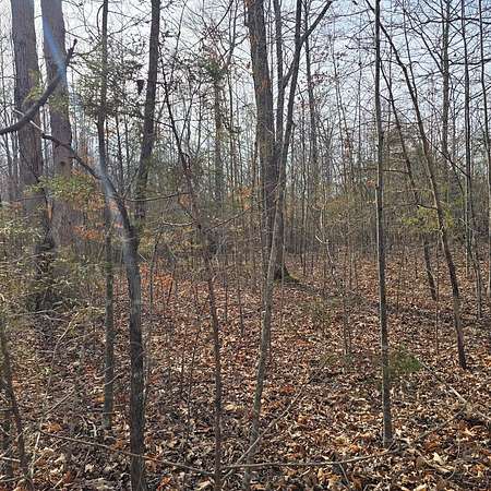 1 Acre of Residential Land for Sale in Hilham, Tennessee
