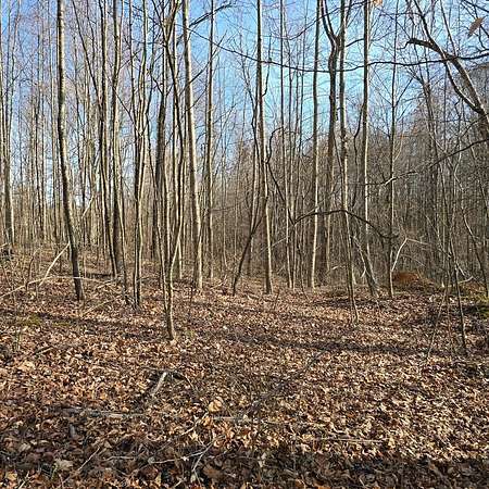 1 Acre of Residential Land for Sale in Hilham, Tennessee