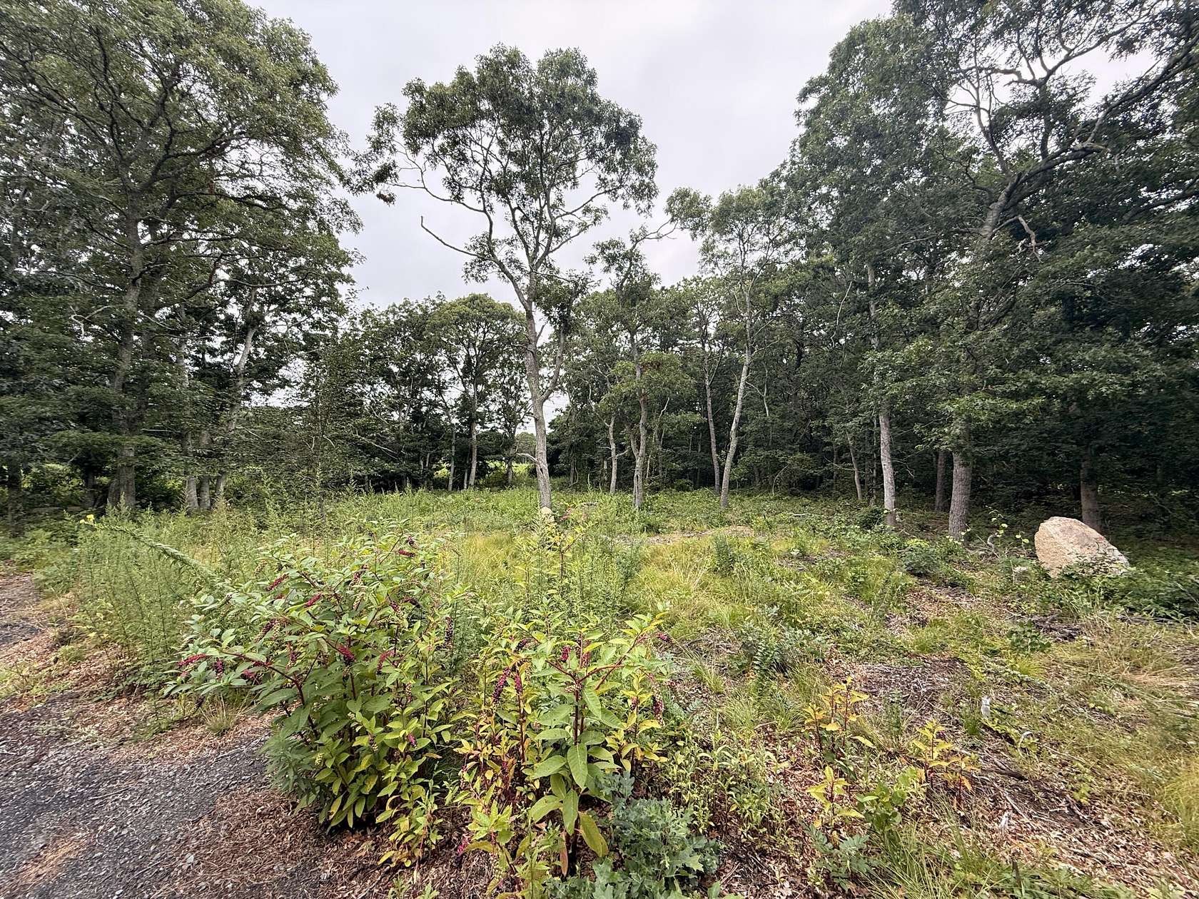 0.82 Acres of Residential Land for Sale in Brewster, Massachusetts