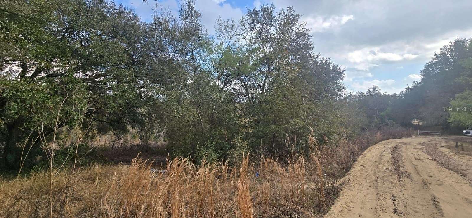 0.57 Acres of Residential Land for Sale in Umatilla, Florida