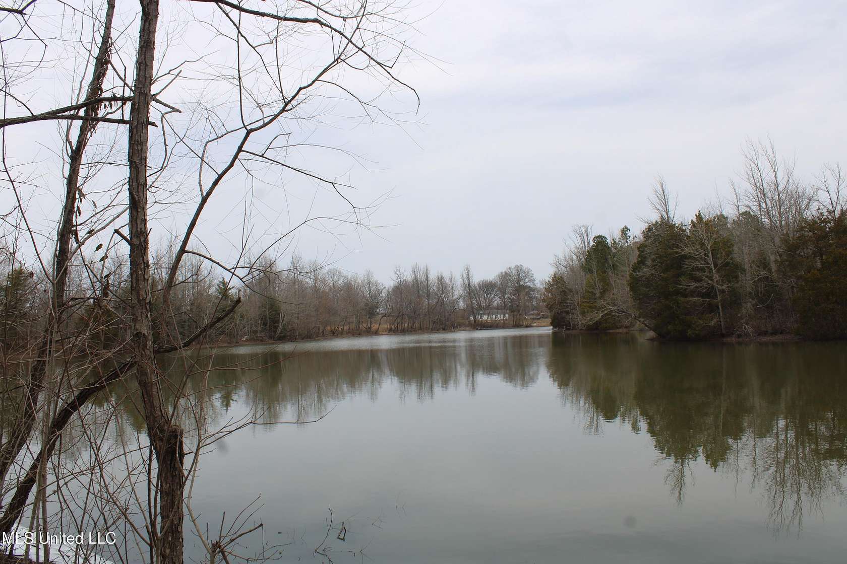 100 Acres of Land for Sale in Lake Cormorant, Mississippi