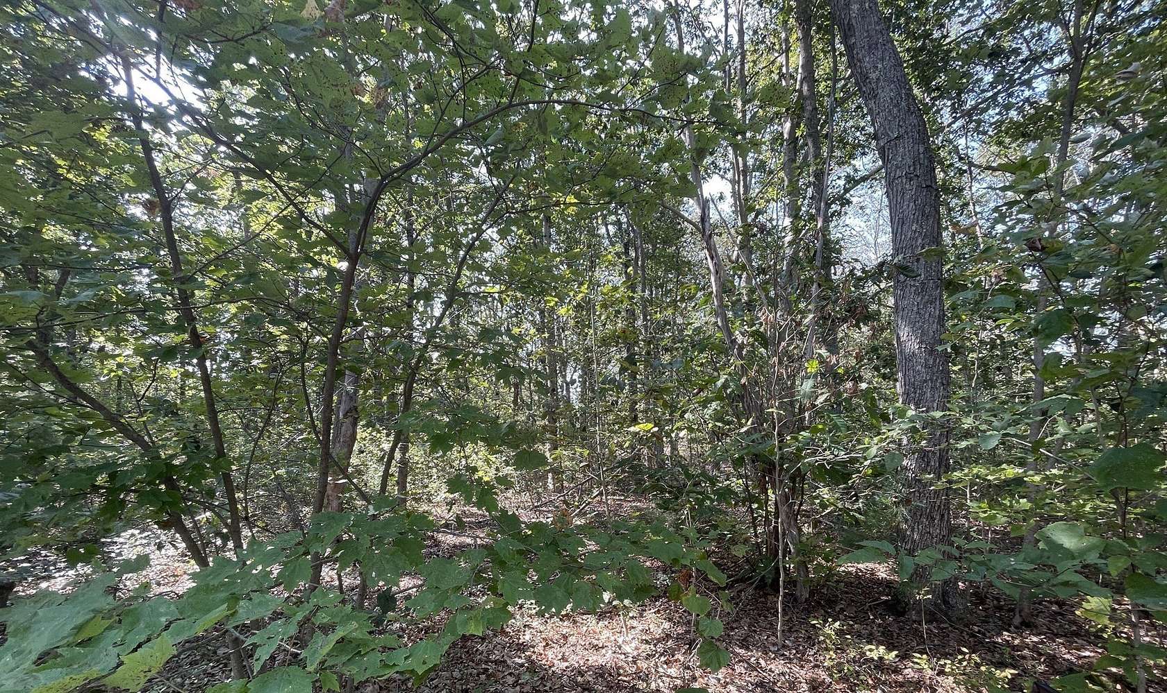 2 Acres of Residential Land for Sale in Rehoboth, Massachusetts