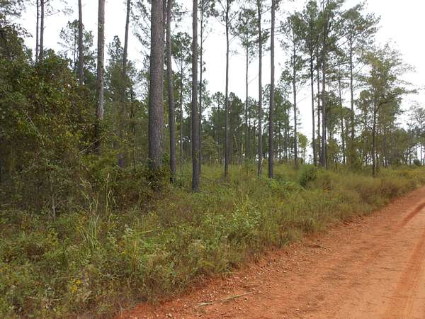 7.9 Acres of Land for Sale in Keysville, Georgia