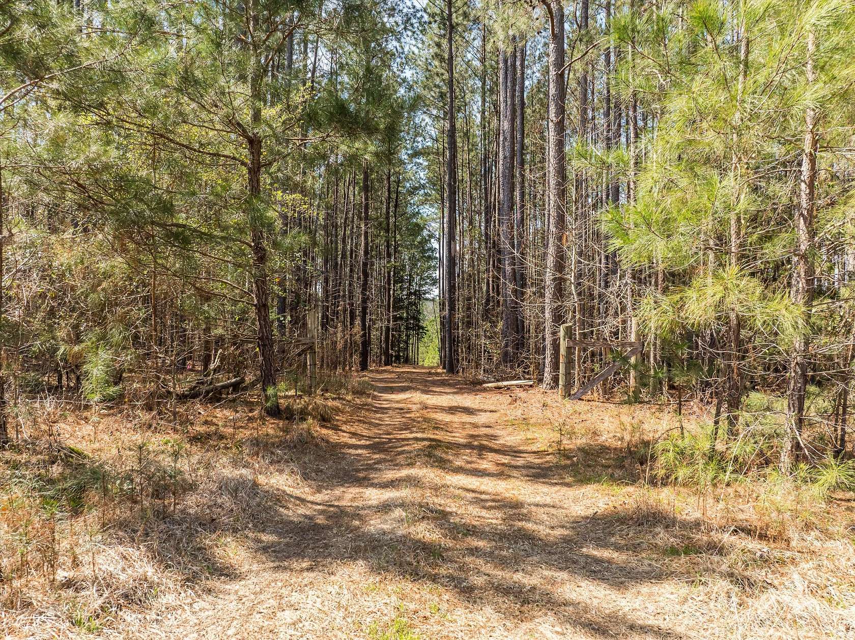 10.8 Acres of Recreational & Residential Land for Sale in Appling, Georgia