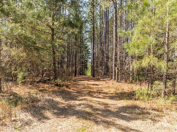 10.8 Acres of Recreational & Residential Land for Sale in Appling, Georgia