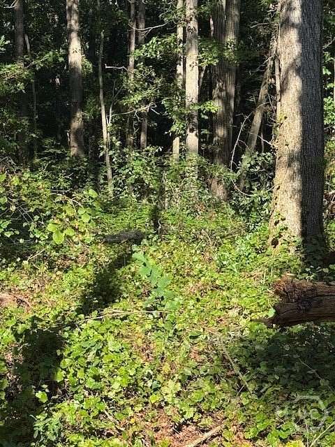 9.78 Acres of Residential Land for Sale in Jefferson, Georgia
