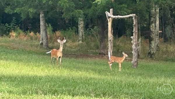 2.57 Acres of Land for Sale in Elberton, Georgia