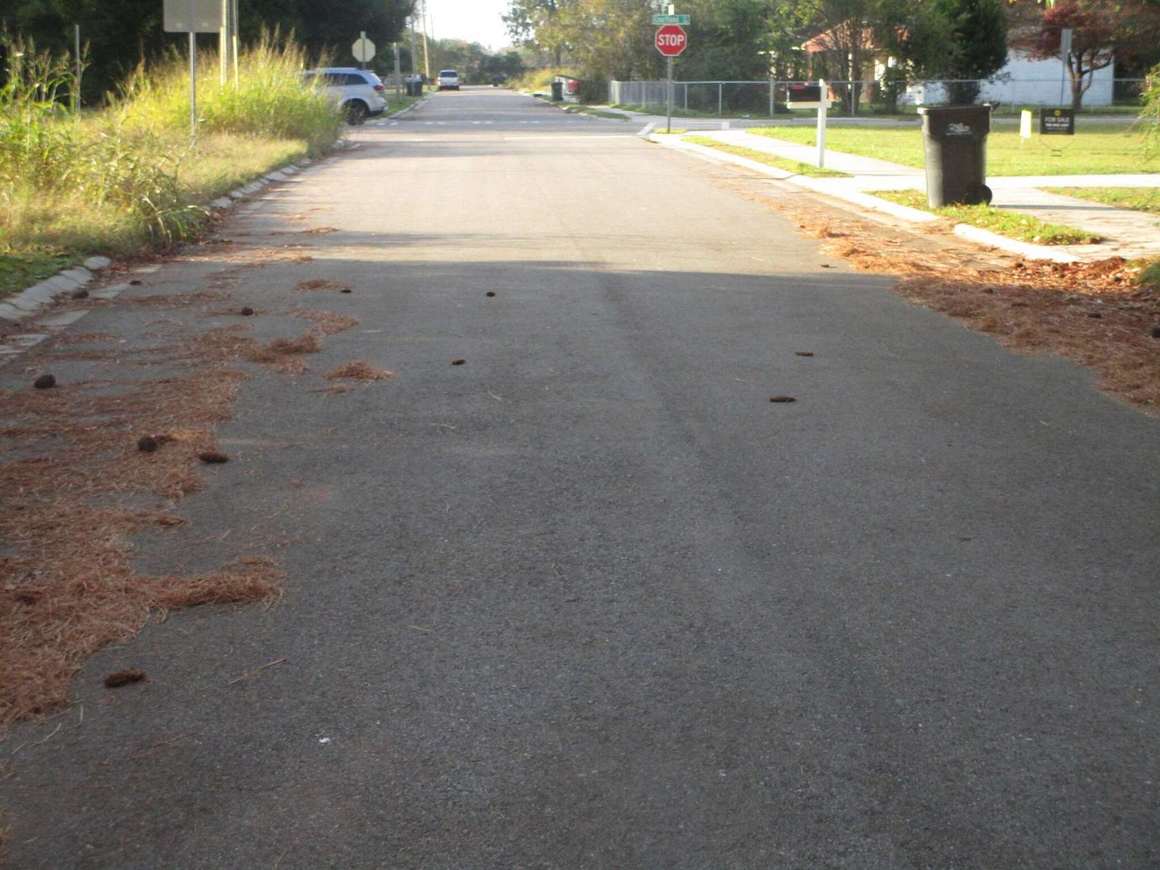 0.24 Acres of Residential Land for Sale in Augusta, Georgia