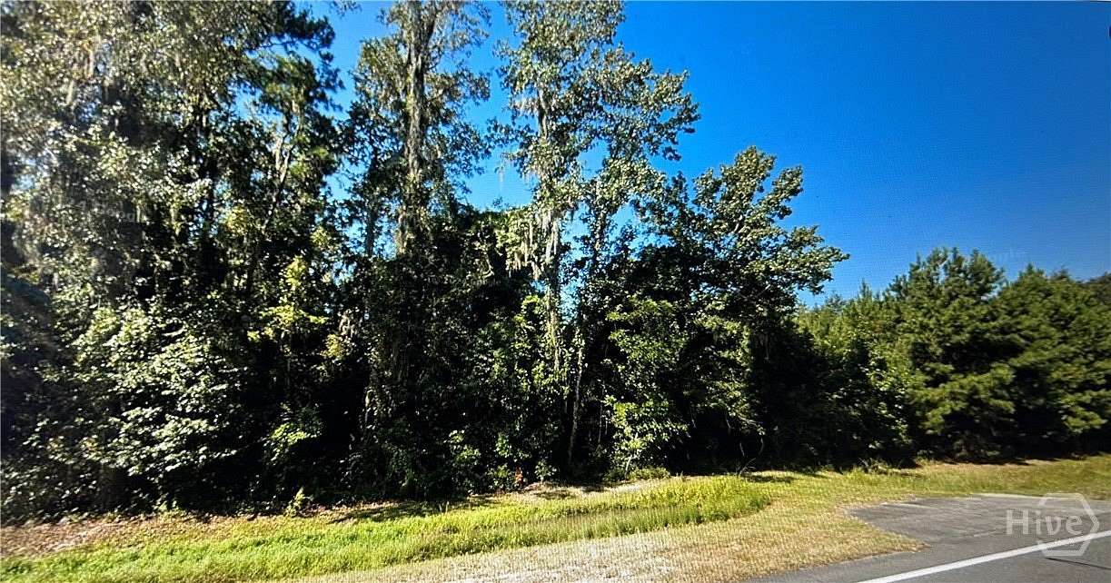 23 Acres of Mixed-Use Land for Sale in Riceboro, Georgia