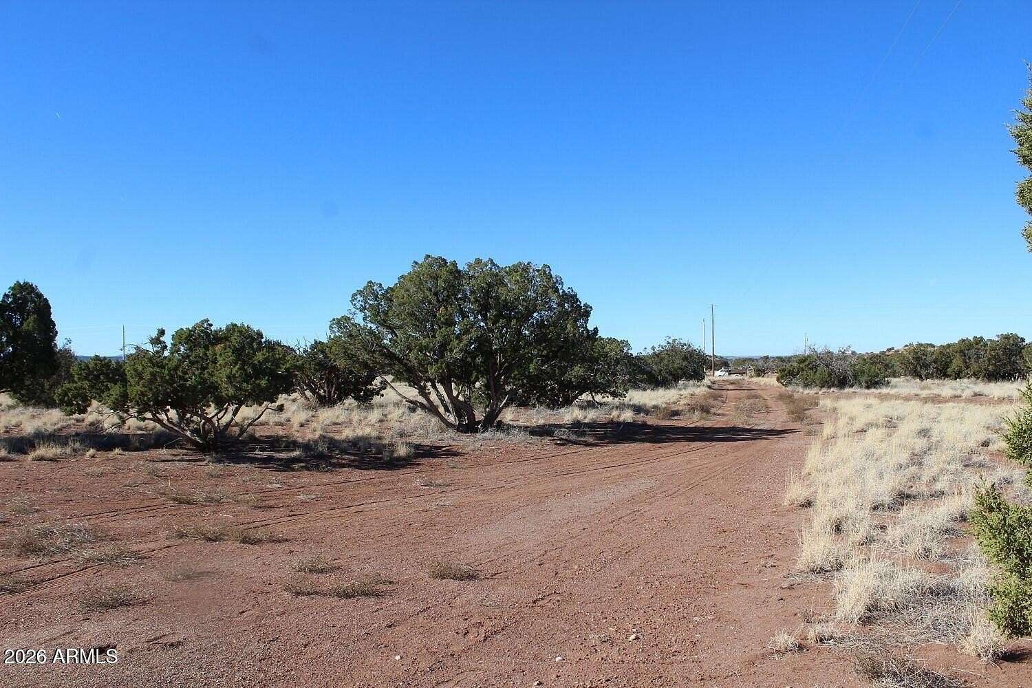 36.3 Acres of Recreational & Residential Land for Auction in St. Johns, Arizona