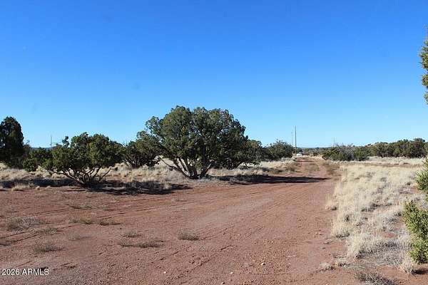 36.3 Acres of Recreational & Residential Land for Auction in St. Johns, Arizona