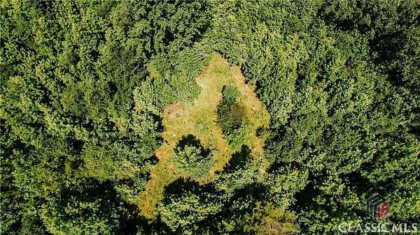 10 Acres of Residential Land for Sale in Royston, Georgia