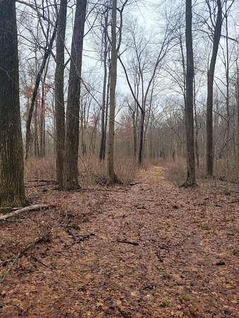 99.5 Acres of Land for Sale in Colon, Michigan